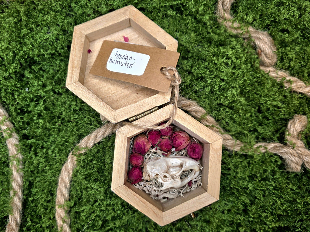 Syyrian hamsterin kallot