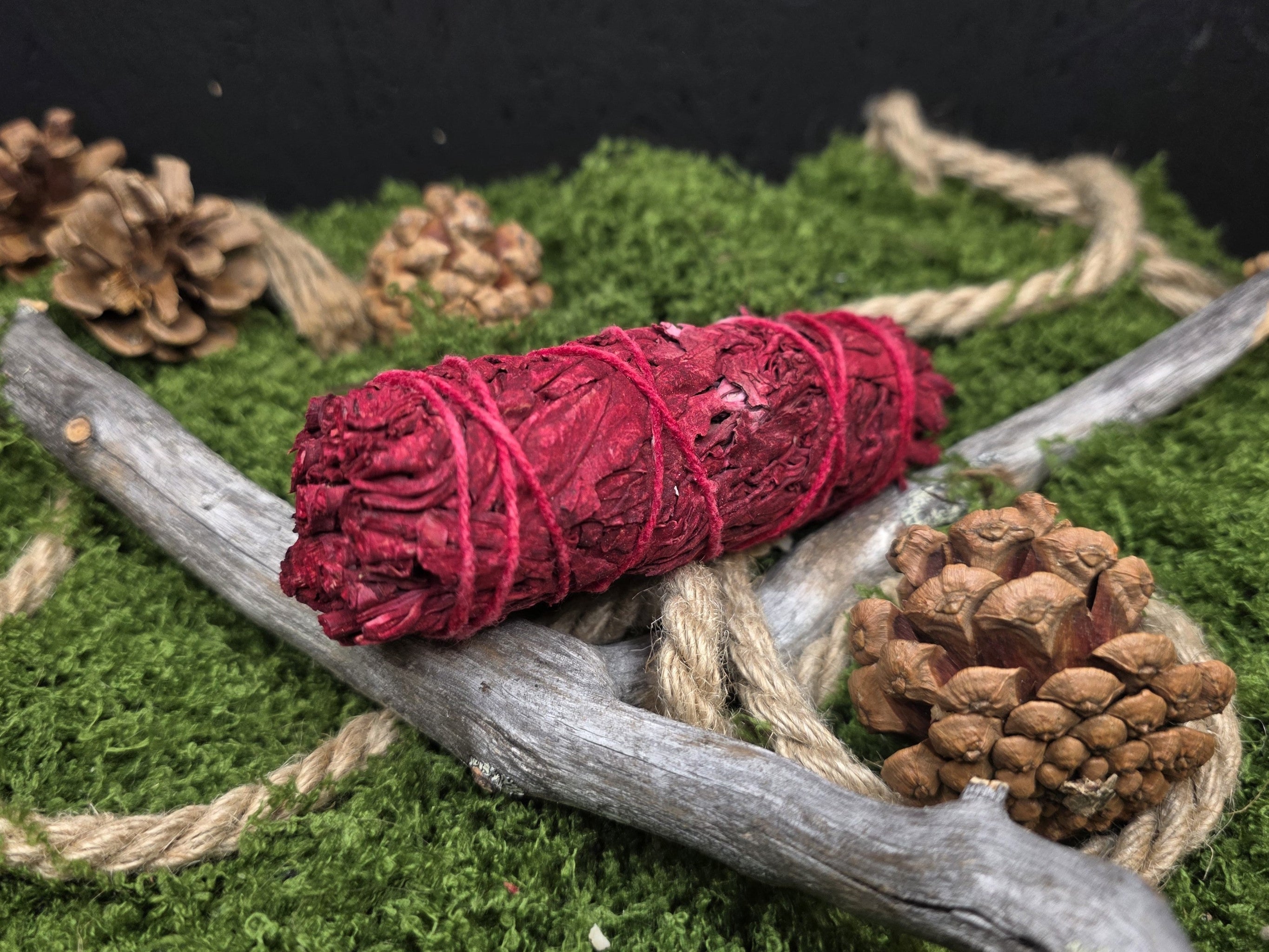 Dragon's Blood Suitsukekimppu