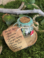 Loitsupullon sisältö: sammal, käpy, jäkälä, katajanmarja, sammalakaatti, käärmeen nahka, sanianen, ametisti.