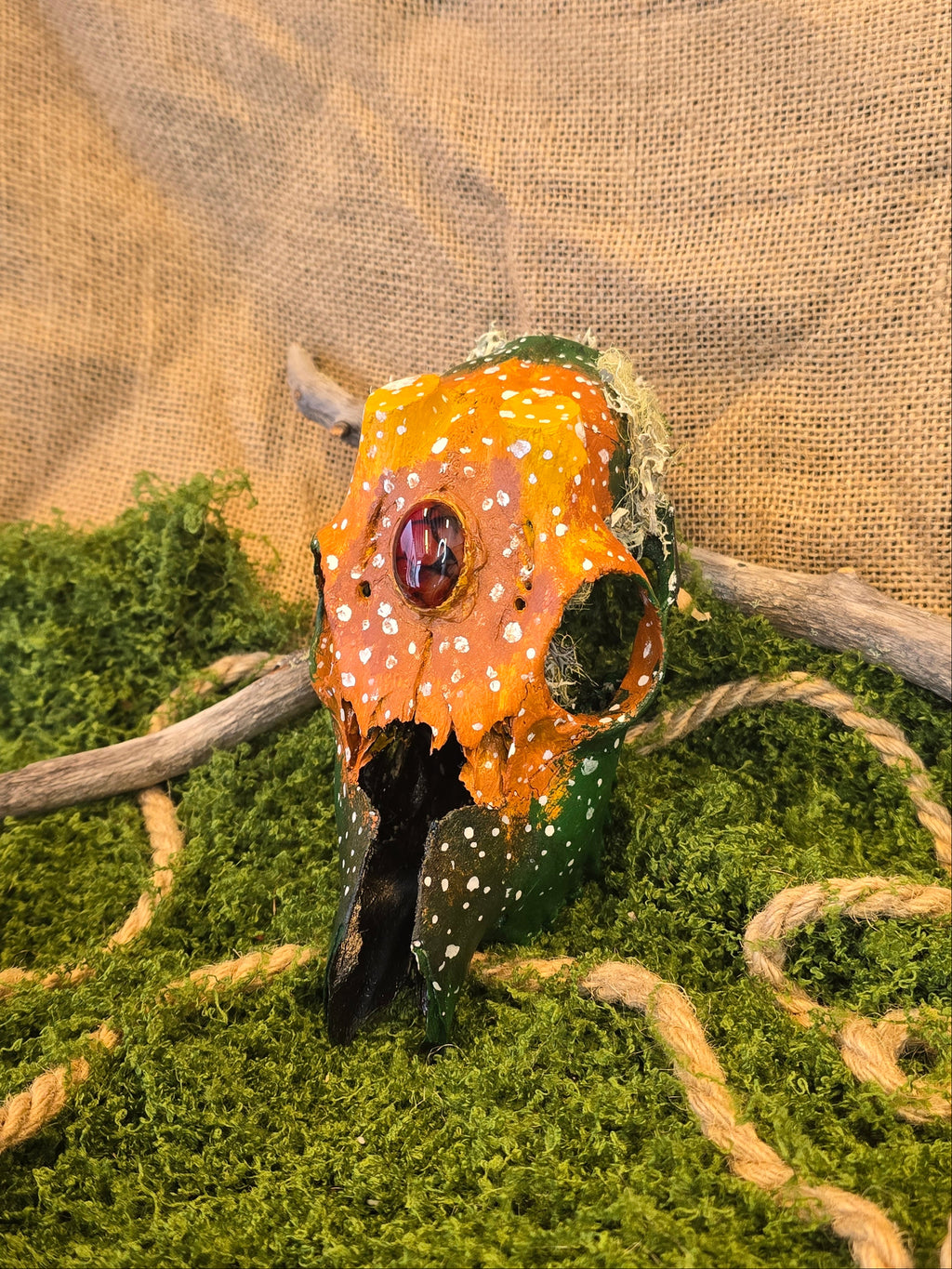 Kauriin kallo, joka on huolellisesti käsitelty ja koristeellisesti maalattu. Siihen on upotettu dragon's eye kivi.