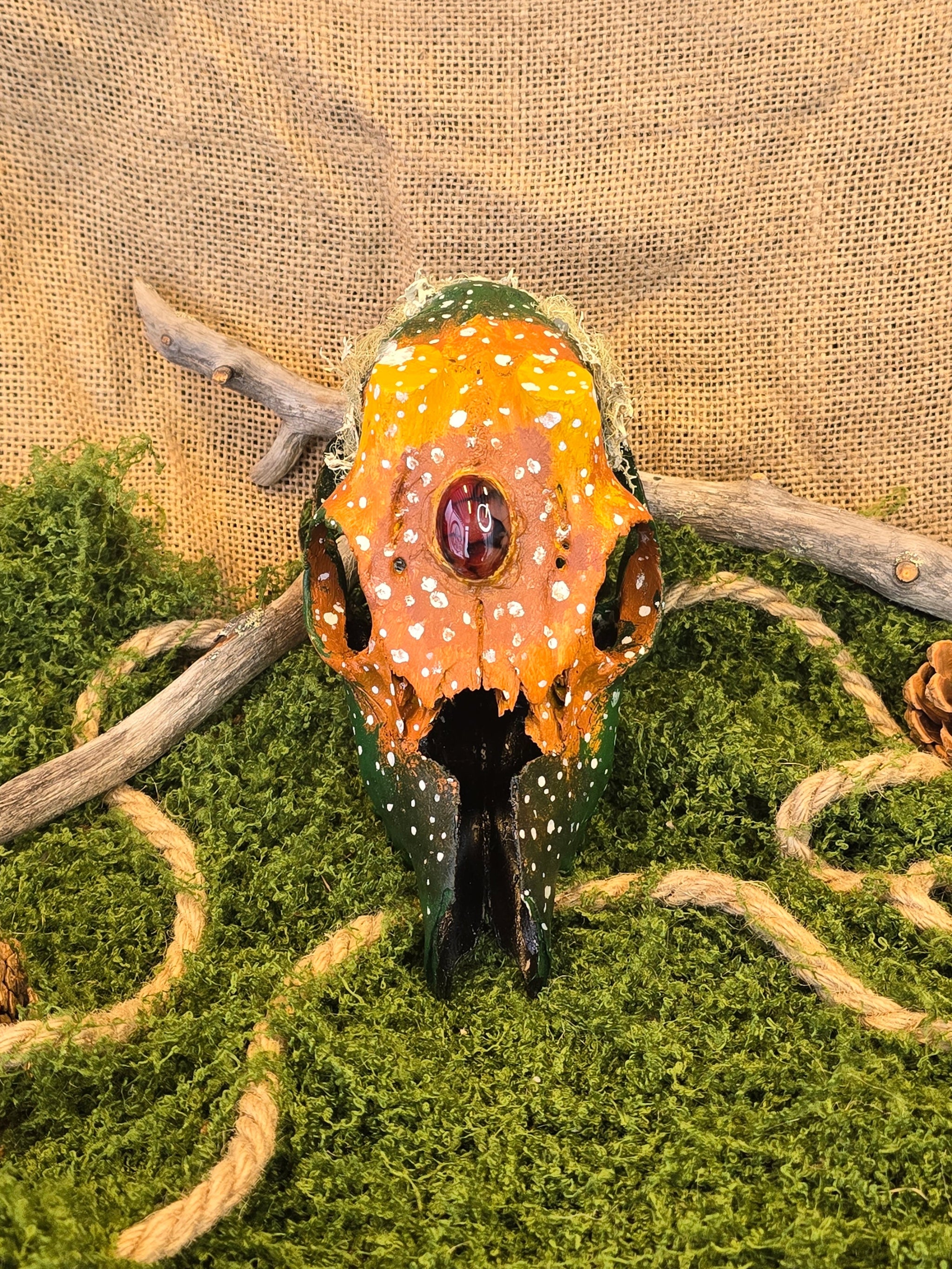 Kauriin kallo, joka on huolellisesti käsitelty ja koristeellisesti maalattu. Siihen on upotettu dragon's eye kivi.