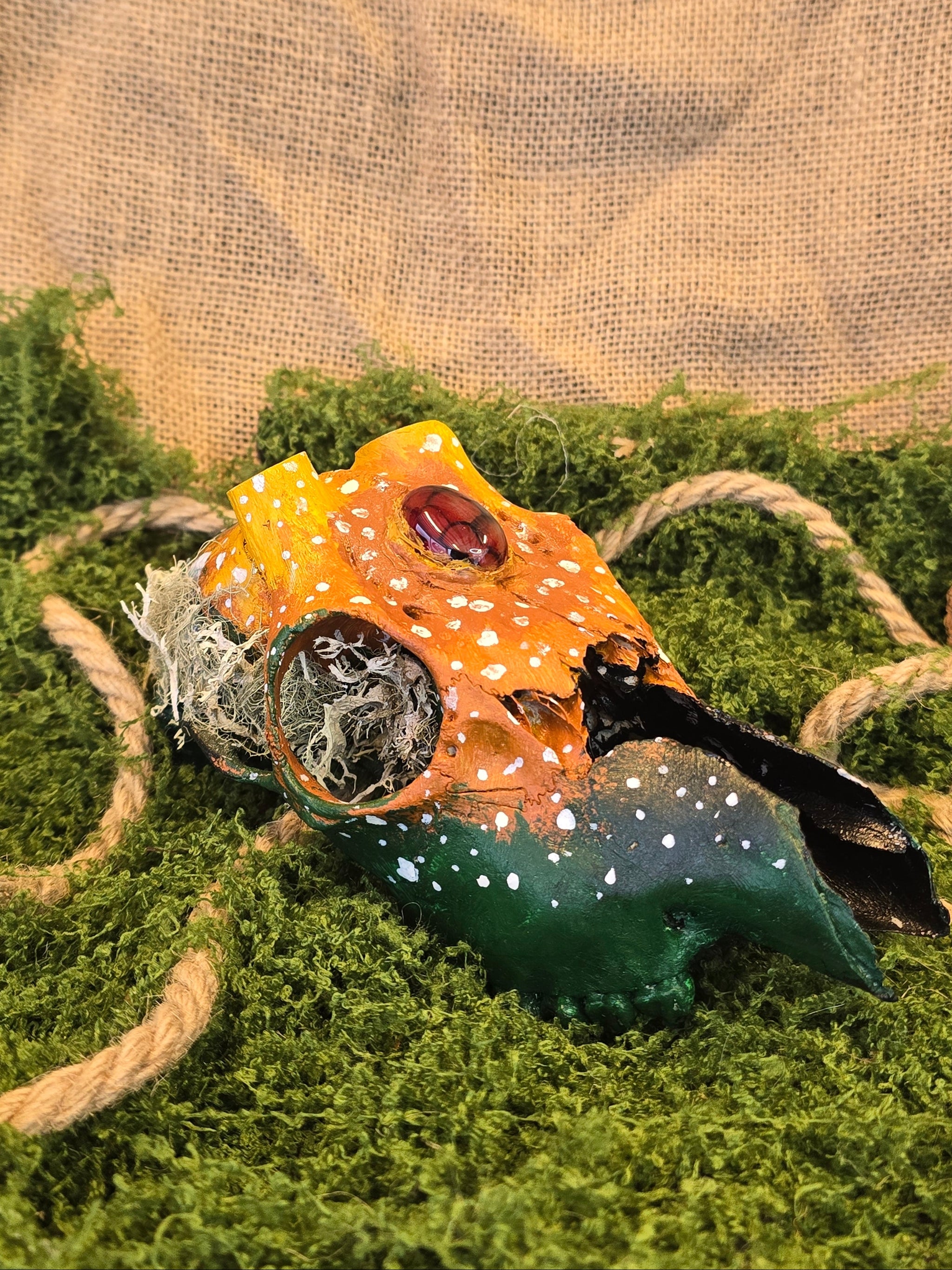 Kauriin kallo, joka on huolellisesti käsitelty ja koristeellisesti maalattu. Siihen on upotettu dragon's eye kivi.