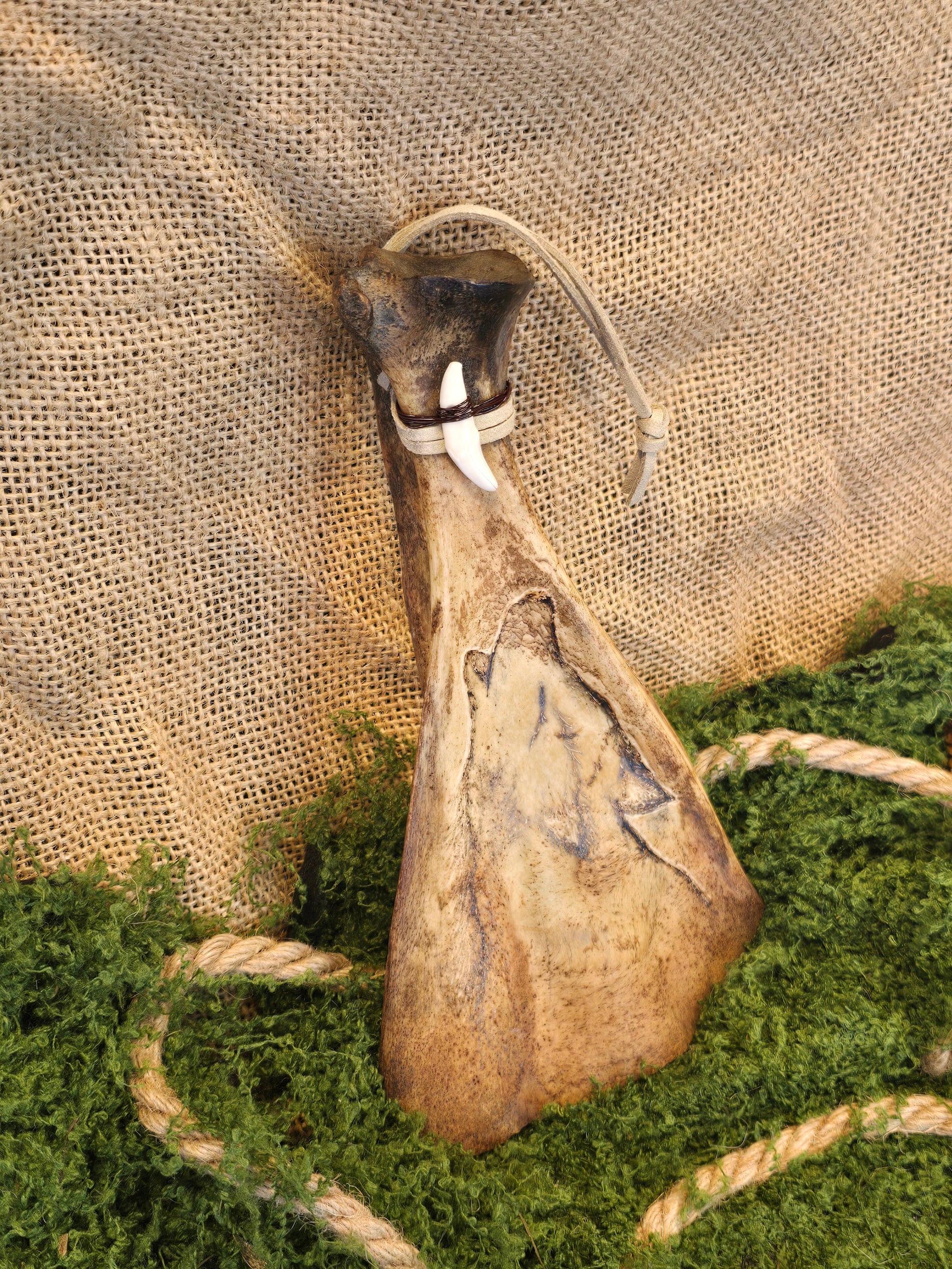 Kauriin lapaluu koriste, jossa ketunhammas ja polttokuvioitu susi.