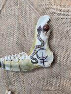 Kauriin leukaluu seinäkoriste, Lilith symbolilla. Lähikuva Lilith-symbolista. 