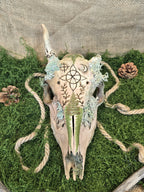 Kauriin käsitelty kallo, jossa on polttokuvioitu noidansolmu, ja koristeena saniaisia, sammalta ja jäkälää kuvattuna edestä.