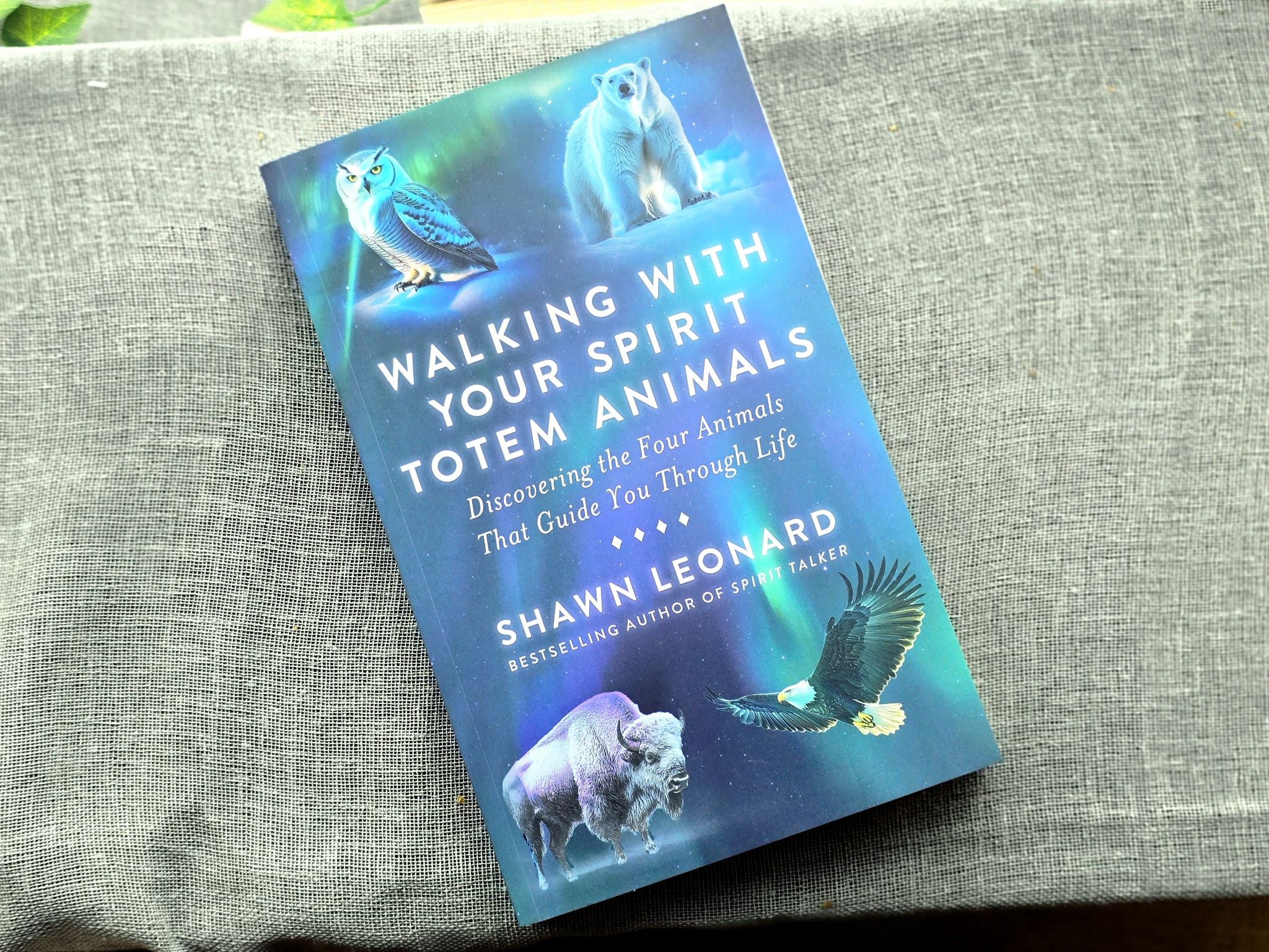Lahjapakkaus, joka sisältää Shawn Leonardin kirjan Walking with Your Spirit Totem Animals, The Spirit Animal Oracle - kortit, Fluoriitti kiven,
Selestiitti kiven.