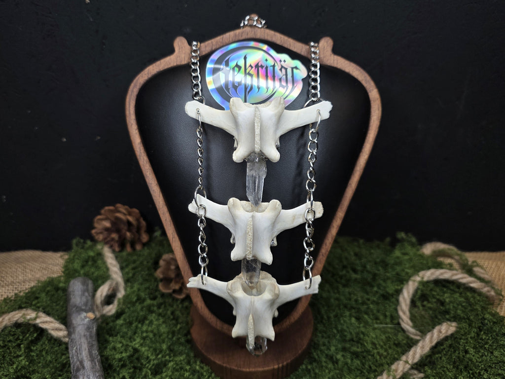 Lampaannikama kaulakoru