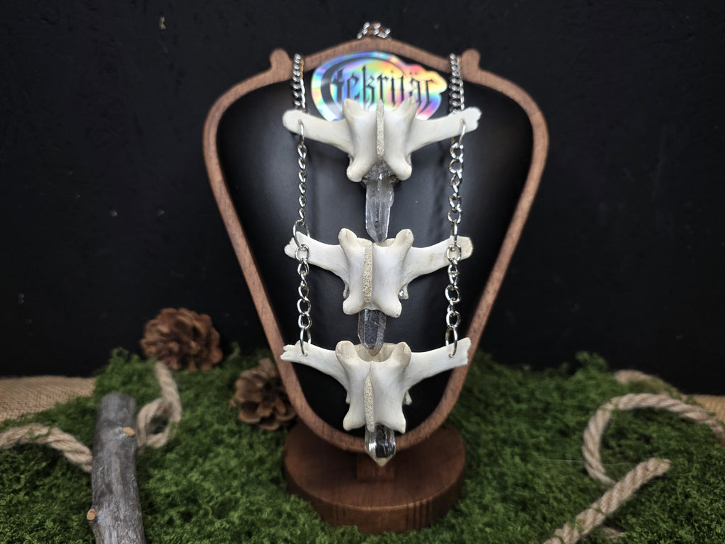 Lampaannikama kaulakoru