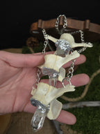 Lampaannikama kaulakoru