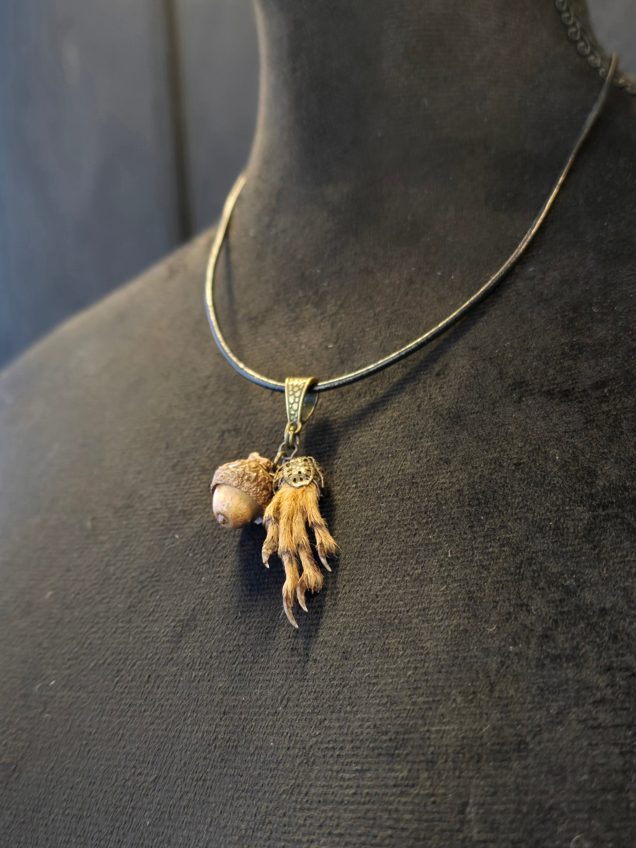 Kaulakorussa aito oravankäpälä ja tammenterho.