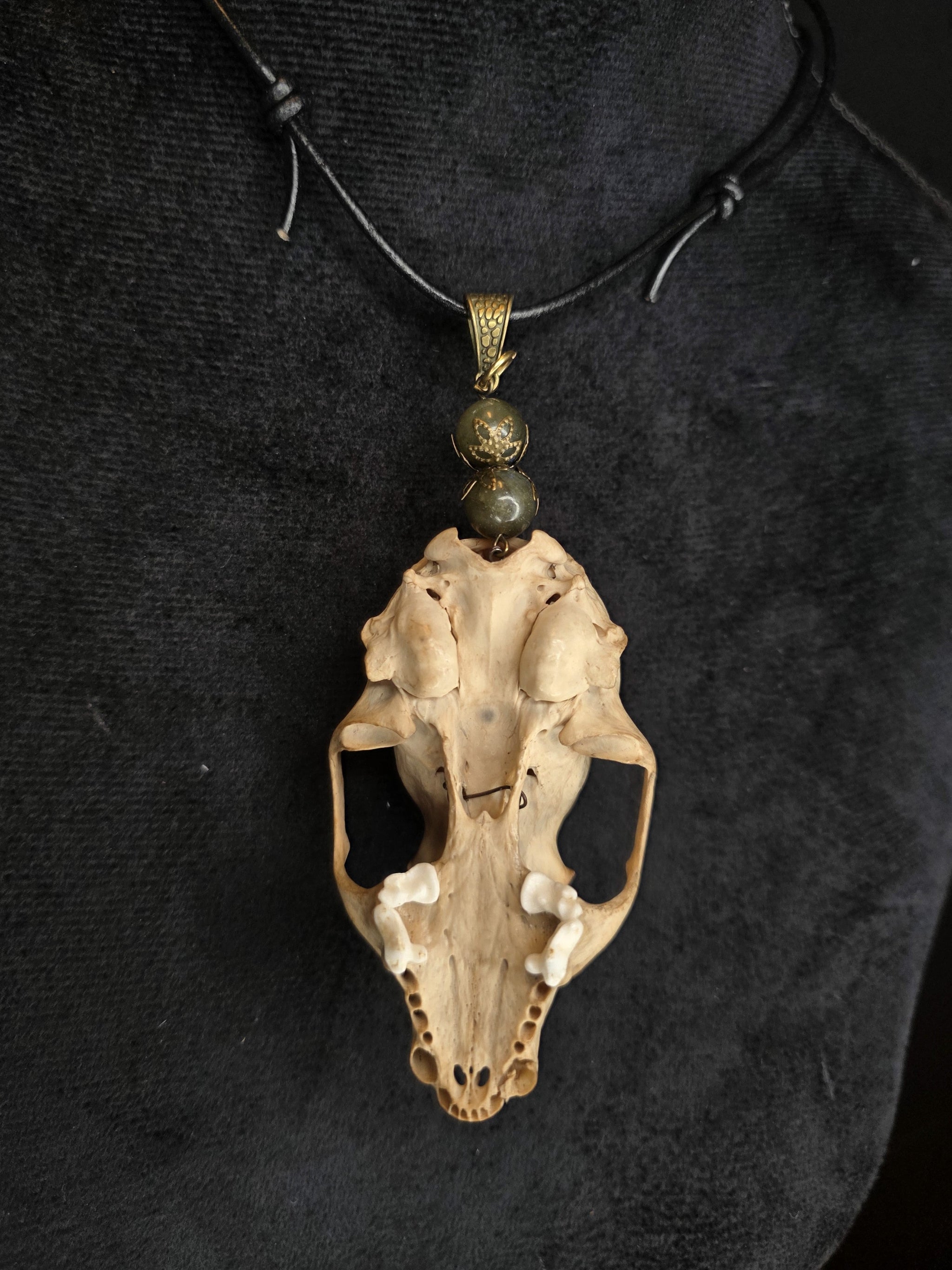 Minkinkallosta valmistettu näyttävä amuletti, jossa labradoriittihelmiä. Kallo on koristeltu perhoskuviolla. Kallo takaa.