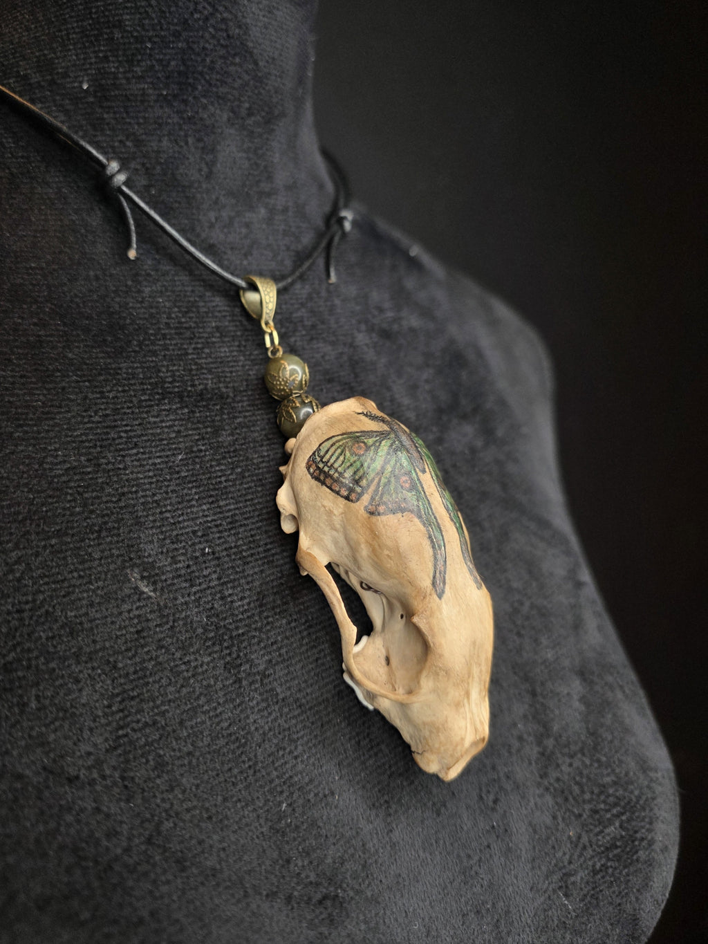 Minkinkallosta valmistettu näyttävä amuletti, jossa labradoriittihelmiä. Kallo on koristeltu perhoskuviolla. Amuletti sivulta.