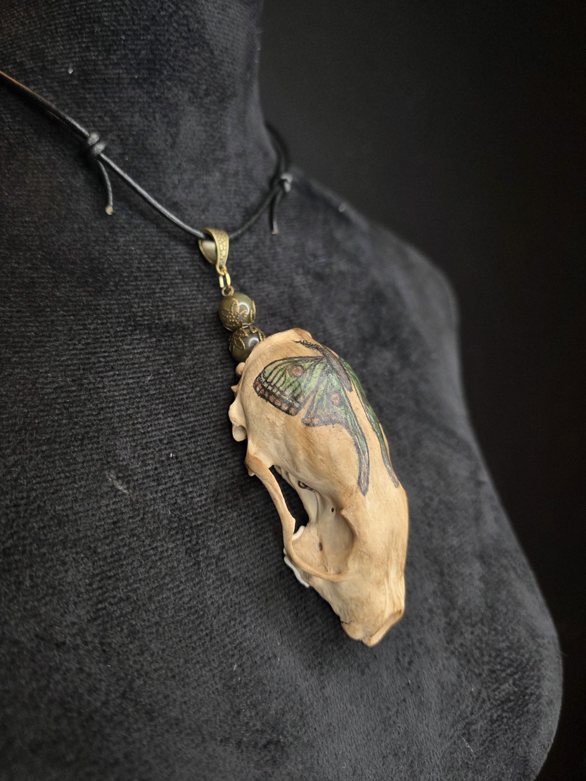 Minkinkallosta valmistettu näyttävä amuletti, jossa labradoriittihelmiä. Kallo on koristeltu perhoskuviolla. Amuletti sivulta.