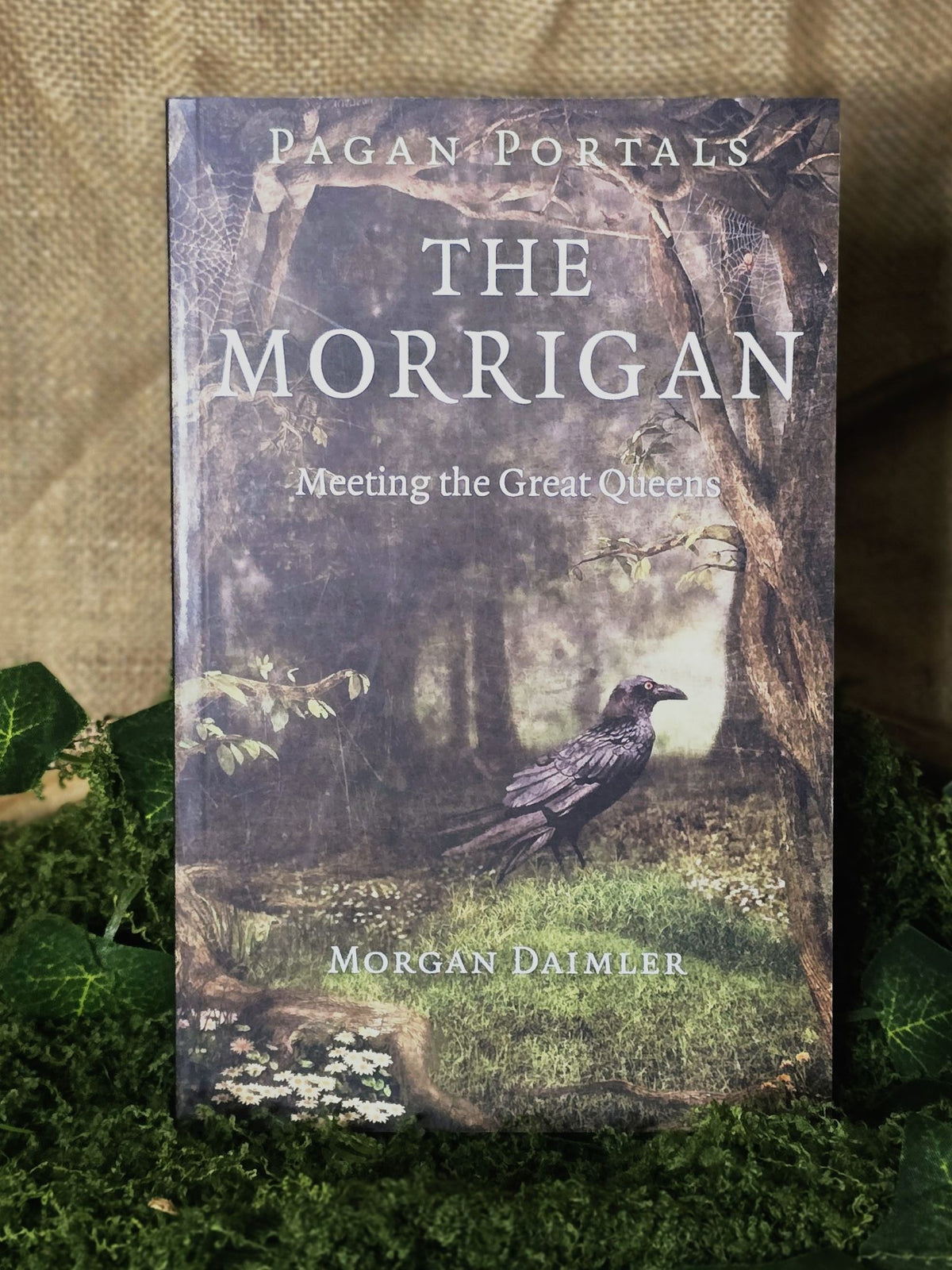 Pagan Portals The Morrigan - Meeting the Great Queens