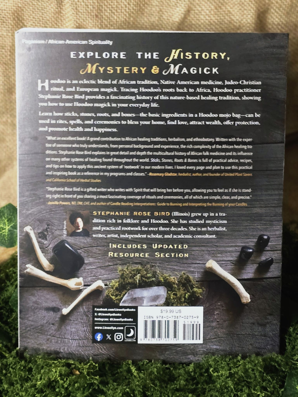 Sticks, Stones, Roots & Bones