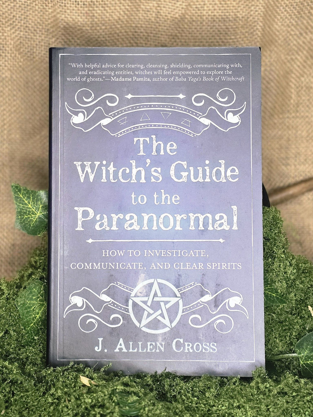 The Witch's Guide to the Paranormal