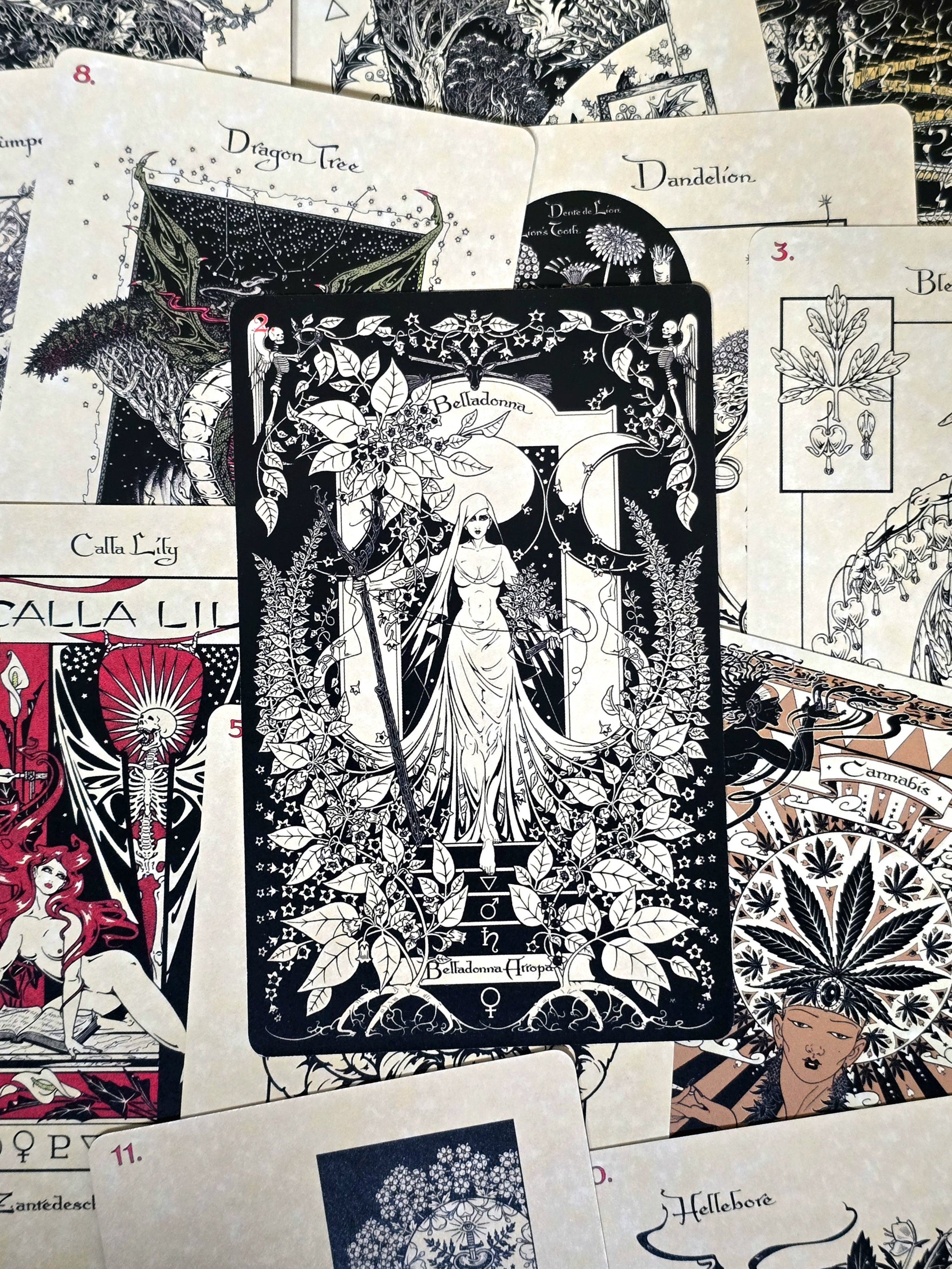 The Magickal Botanical Oracle -oraakkelikortit