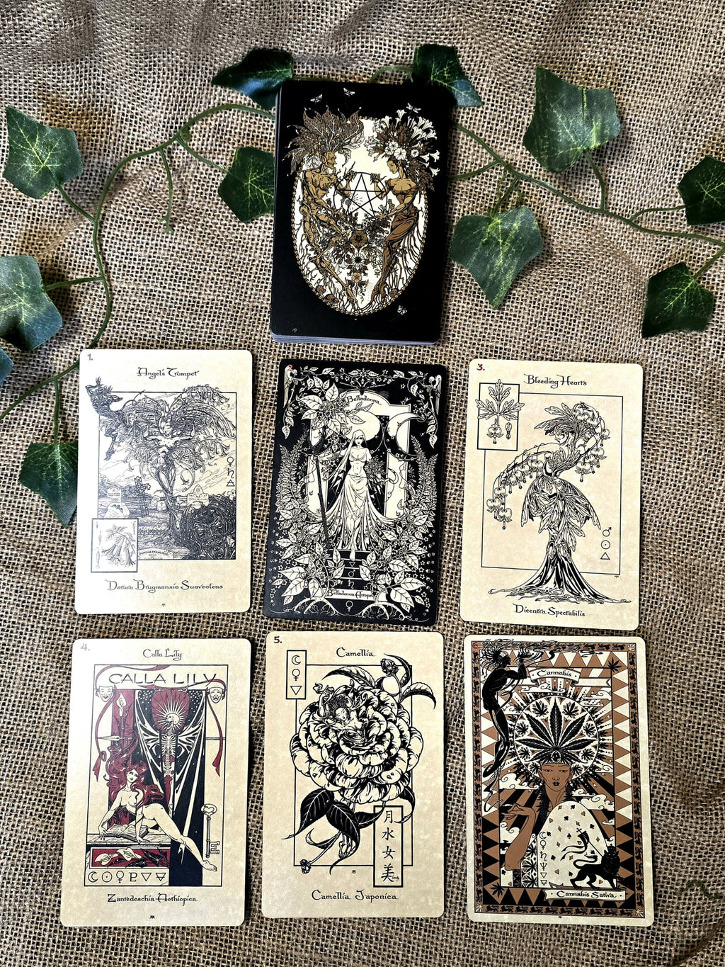 The Magickal Botanical Oracle -oraakkelikortit