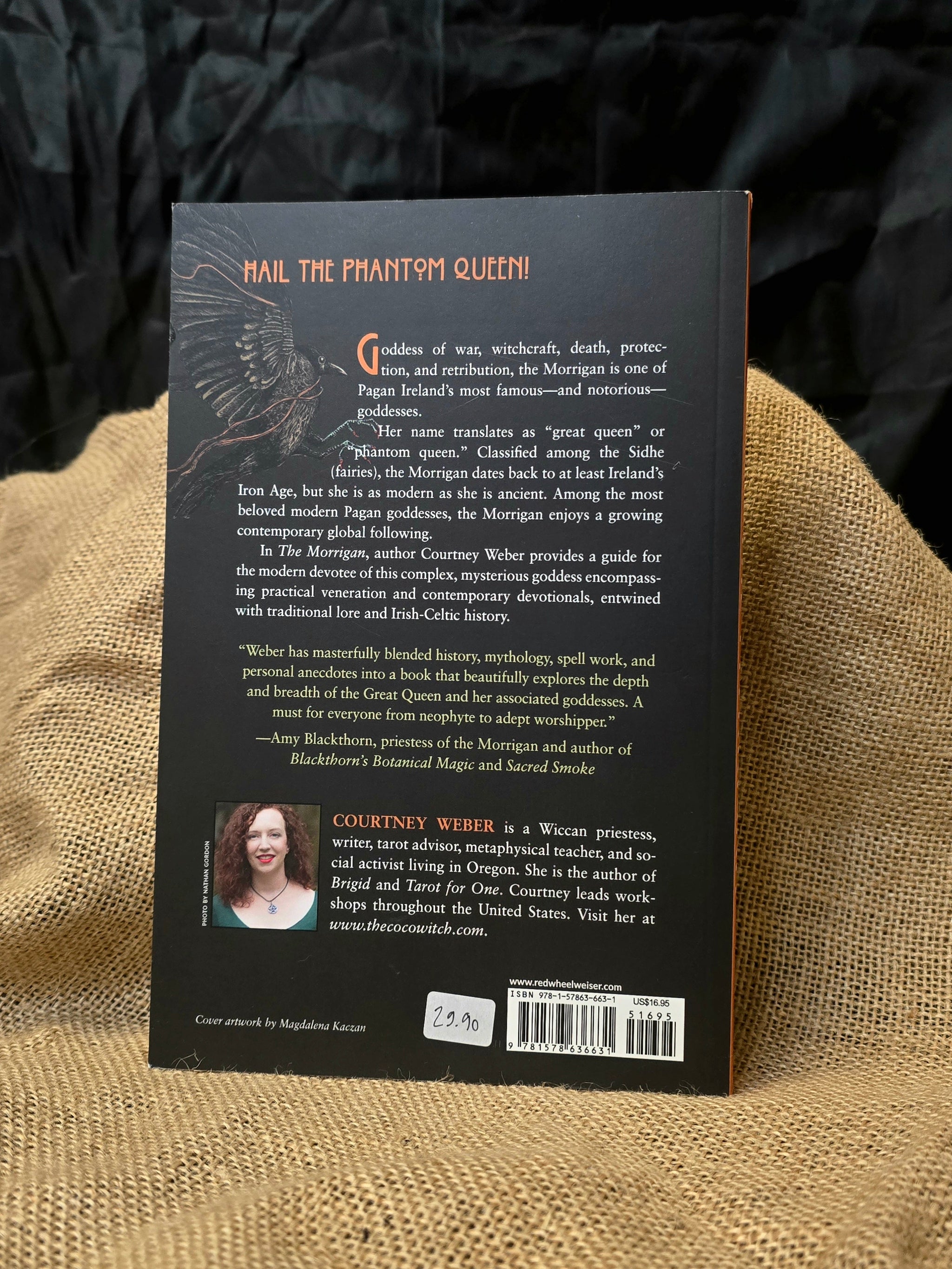 The Morrigan Celtic Goddess of Magic and Might