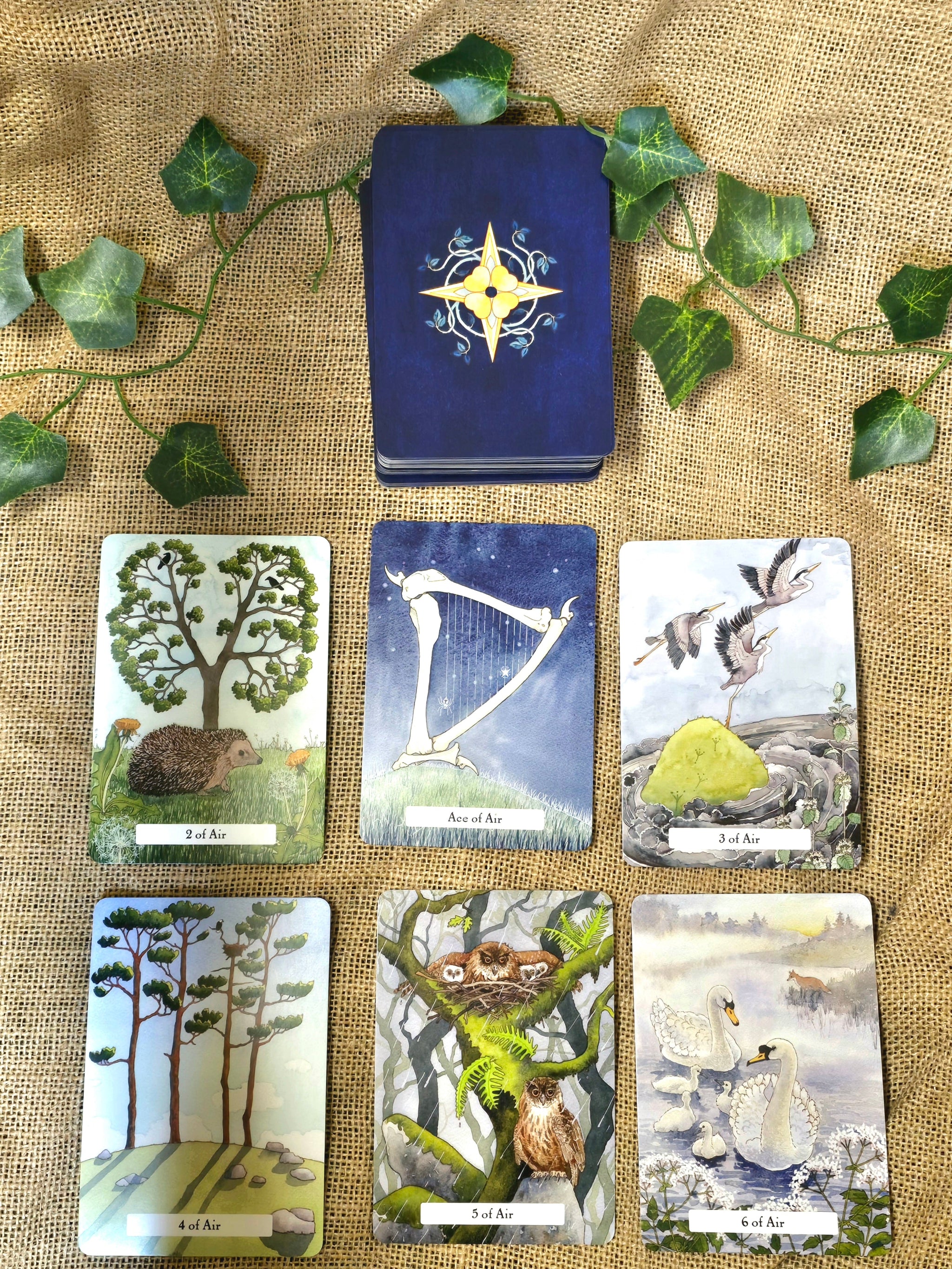 The Witches Wisdom Tarot -tarotkortit