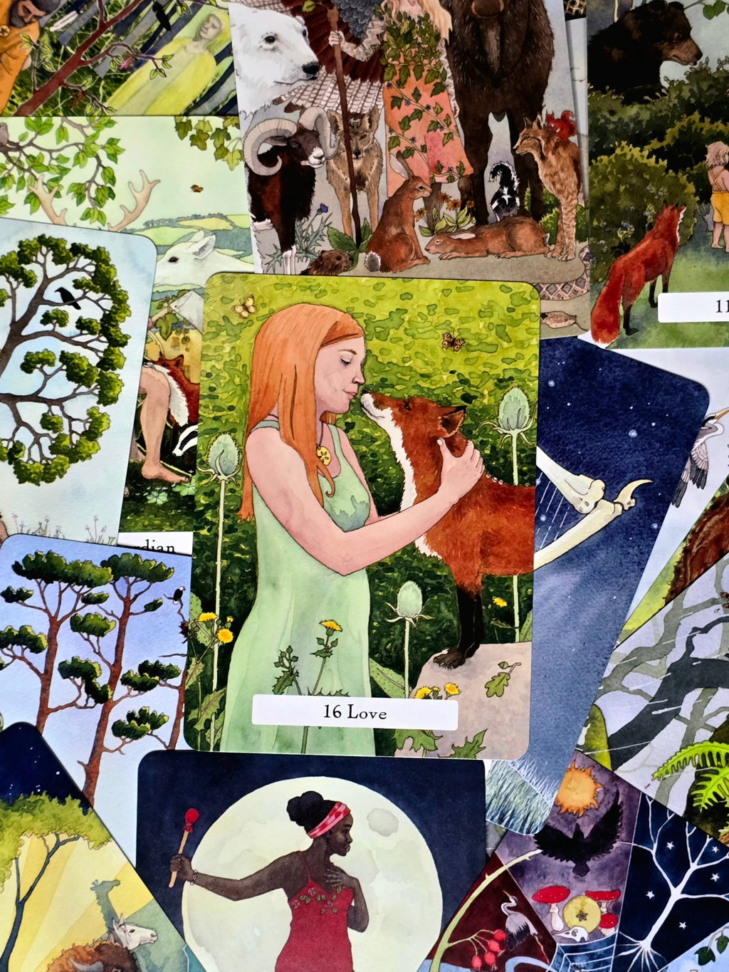 The Witches Wisdom Tarot -tarotkortit