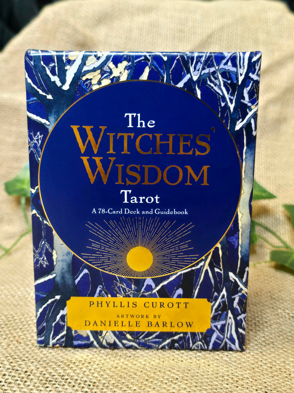 The Witches Wisdom Tarot -tarotkortit