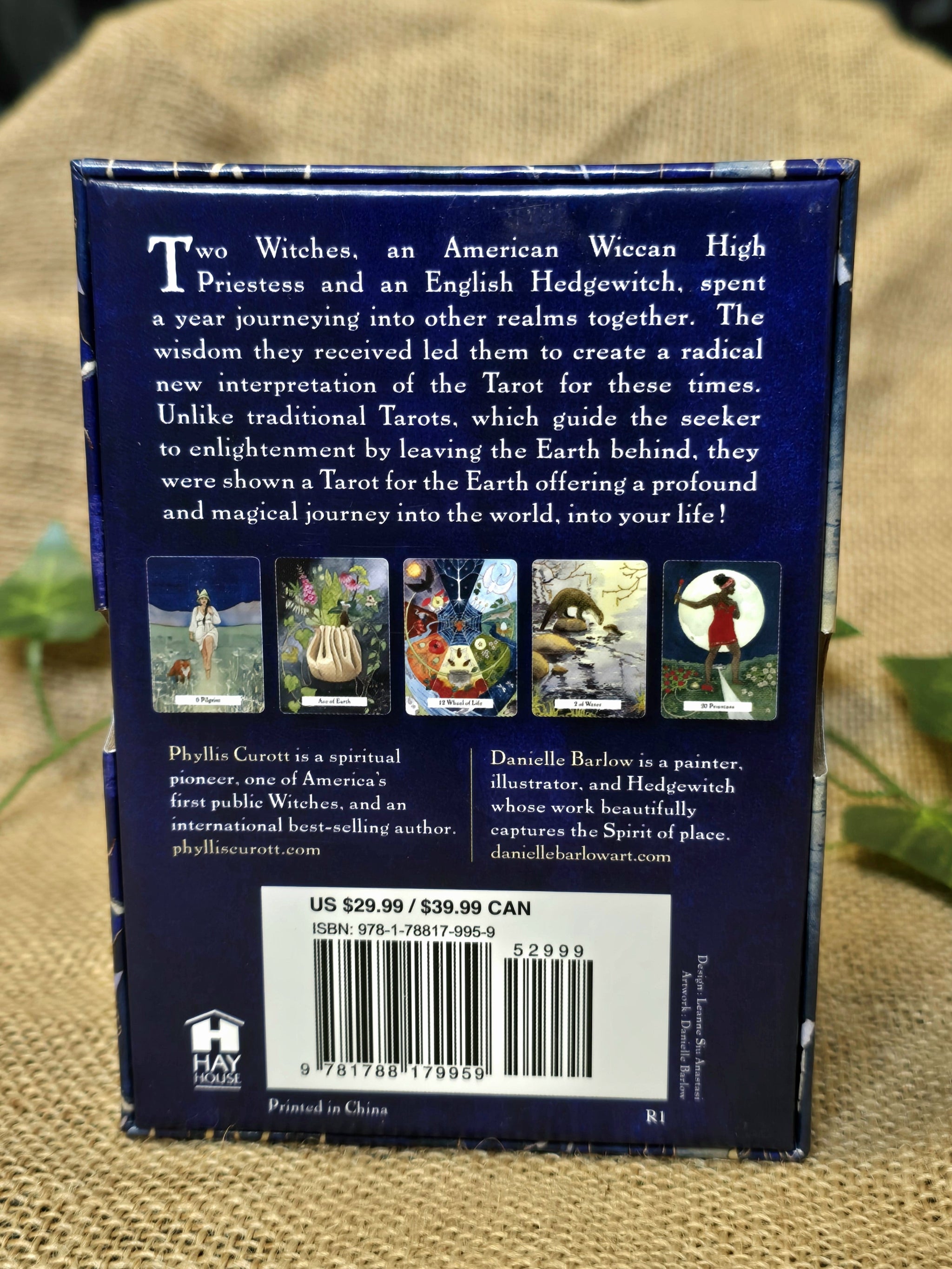 The Witches Wisdom Tarot -tarotkortit