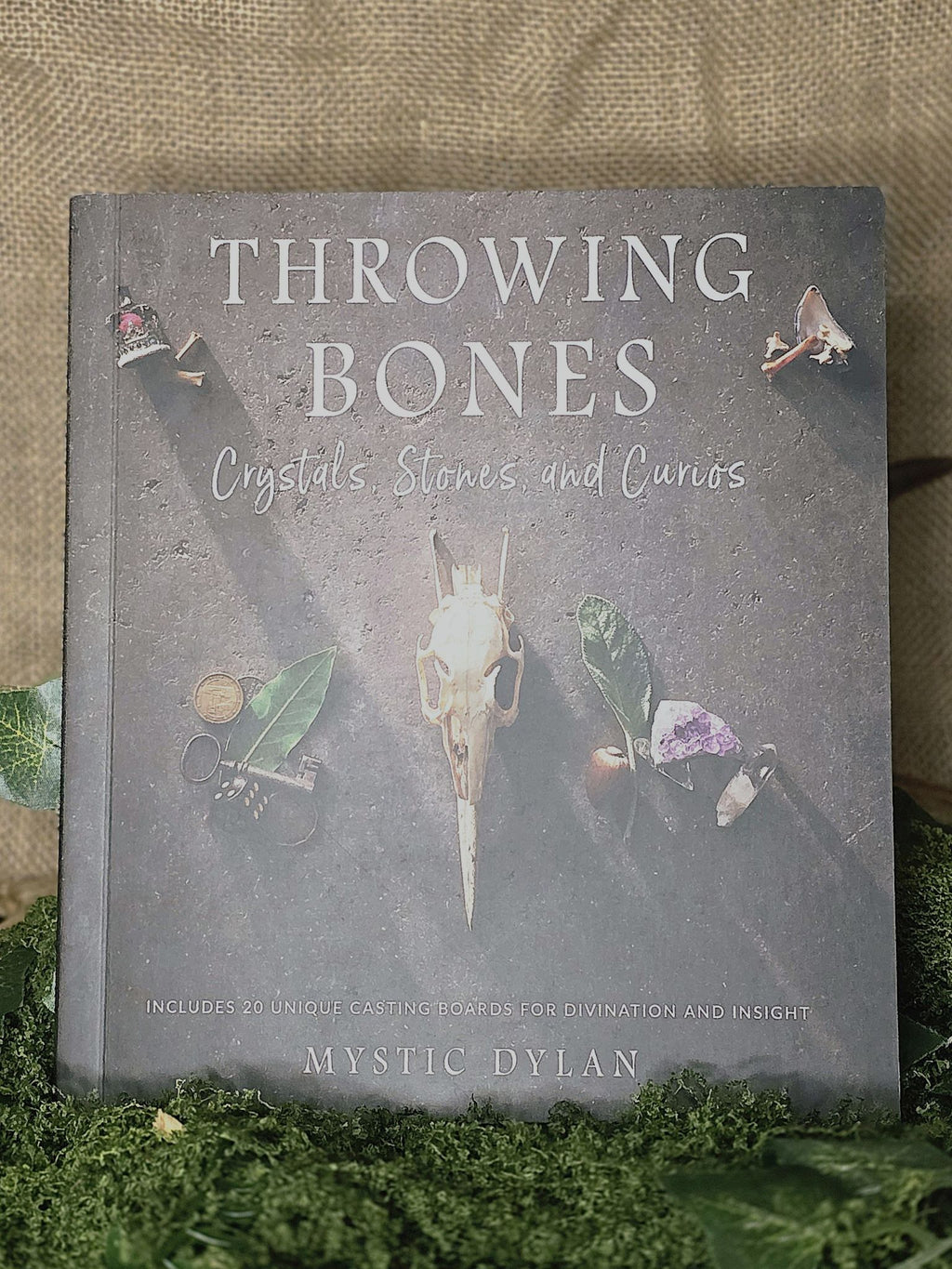 Throwing Bones book.