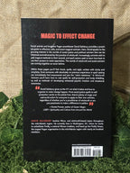 Witchcraft Activism book.