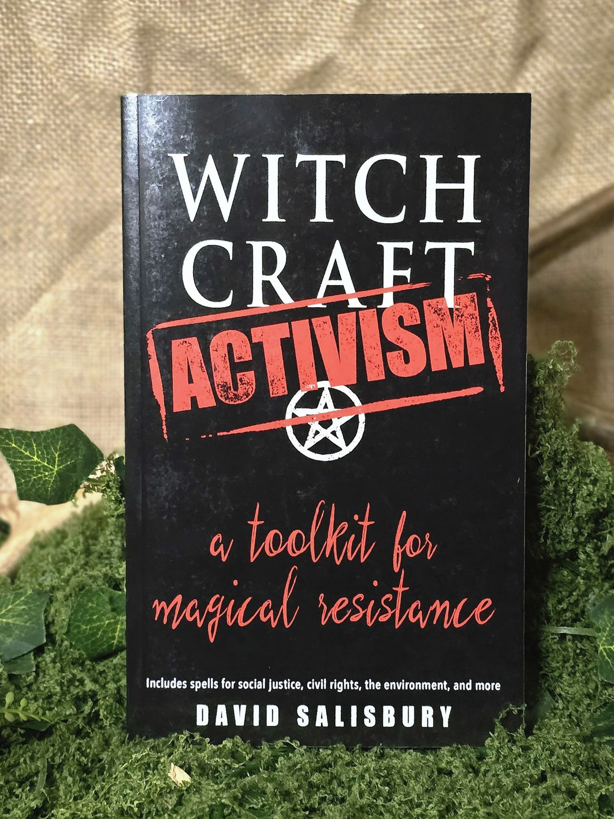 Witchcraft Activism book.