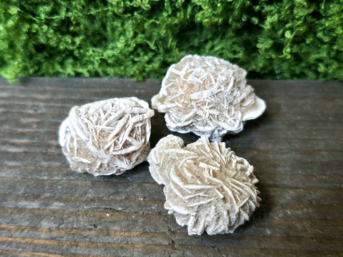 Aavikkoruusu - Inked Mystiqs