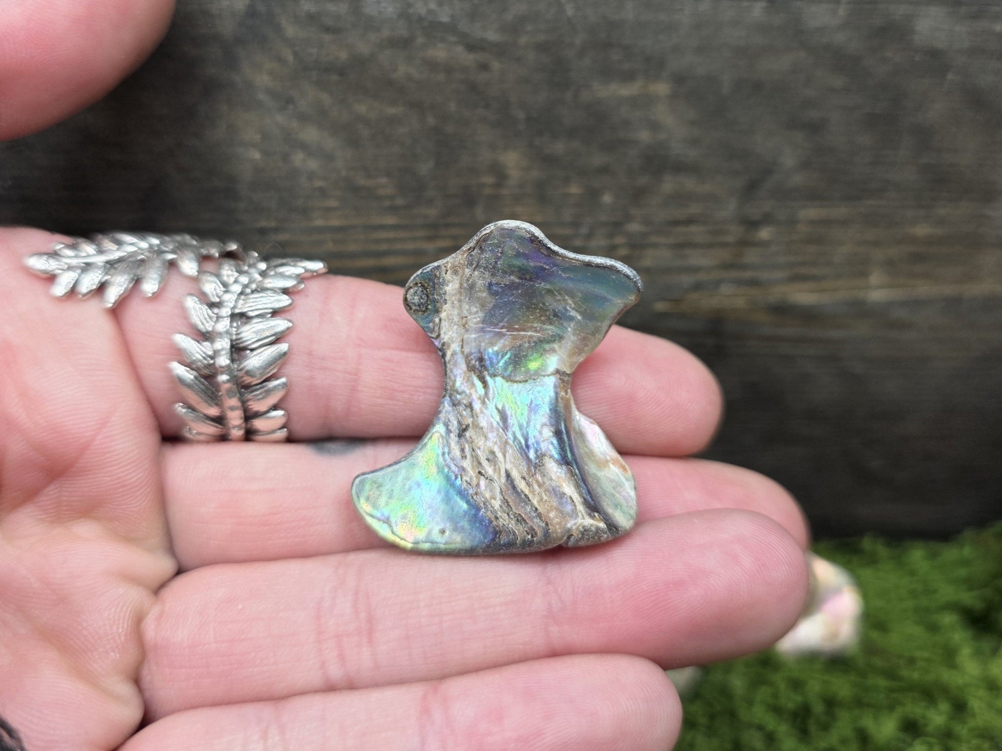 Abaloni kuori - Inked Mystiqs