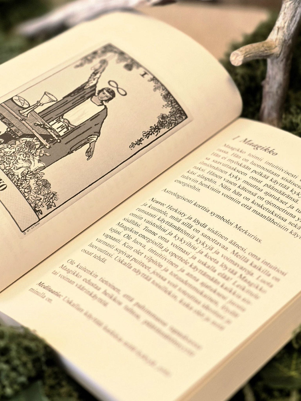 A.E. Waite Tarot -tarotkortit & Tarot Portti Sisimpään -opaskirja