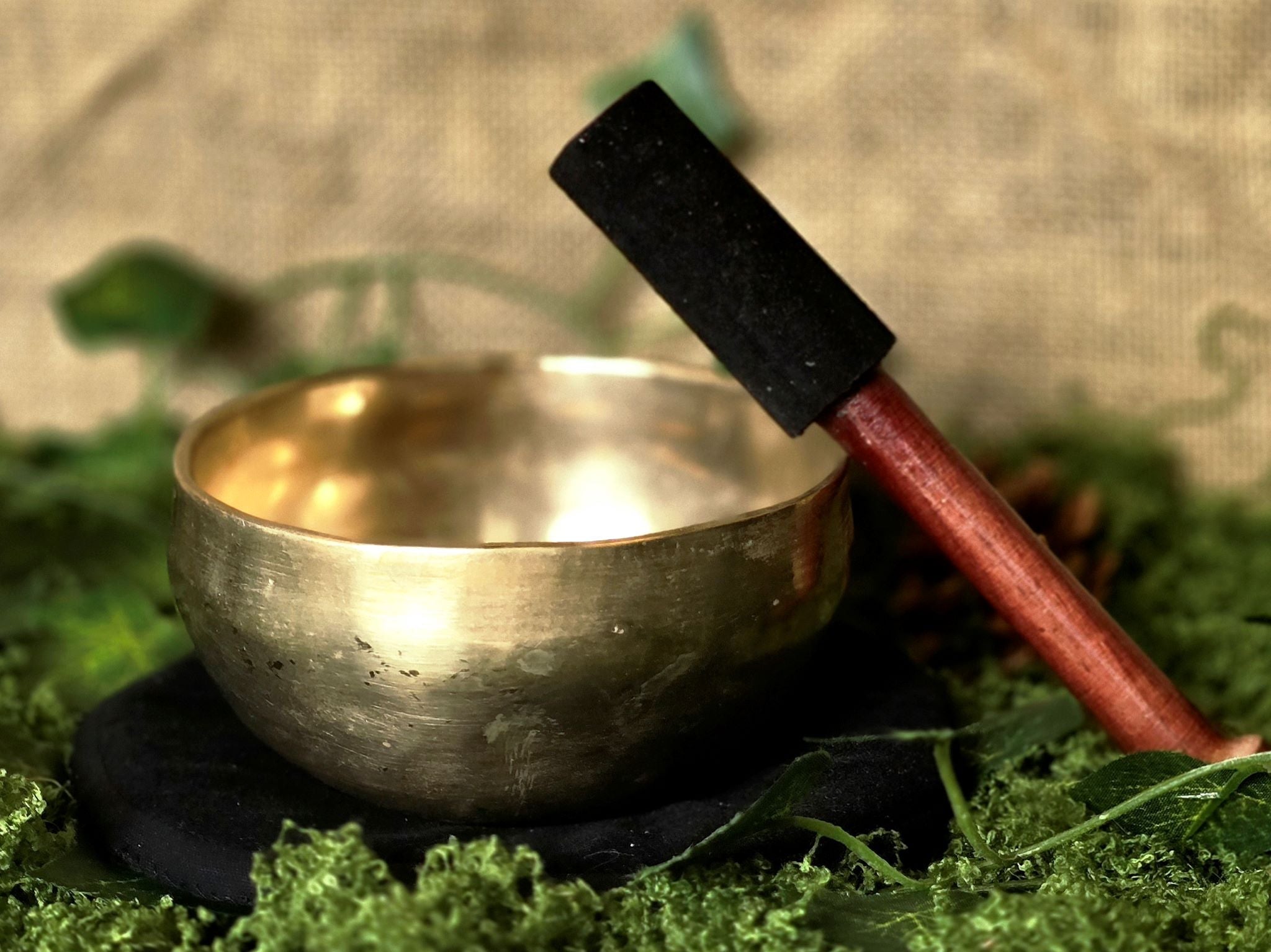 Äänimalja & Soittokapula - Inked Mystiqs