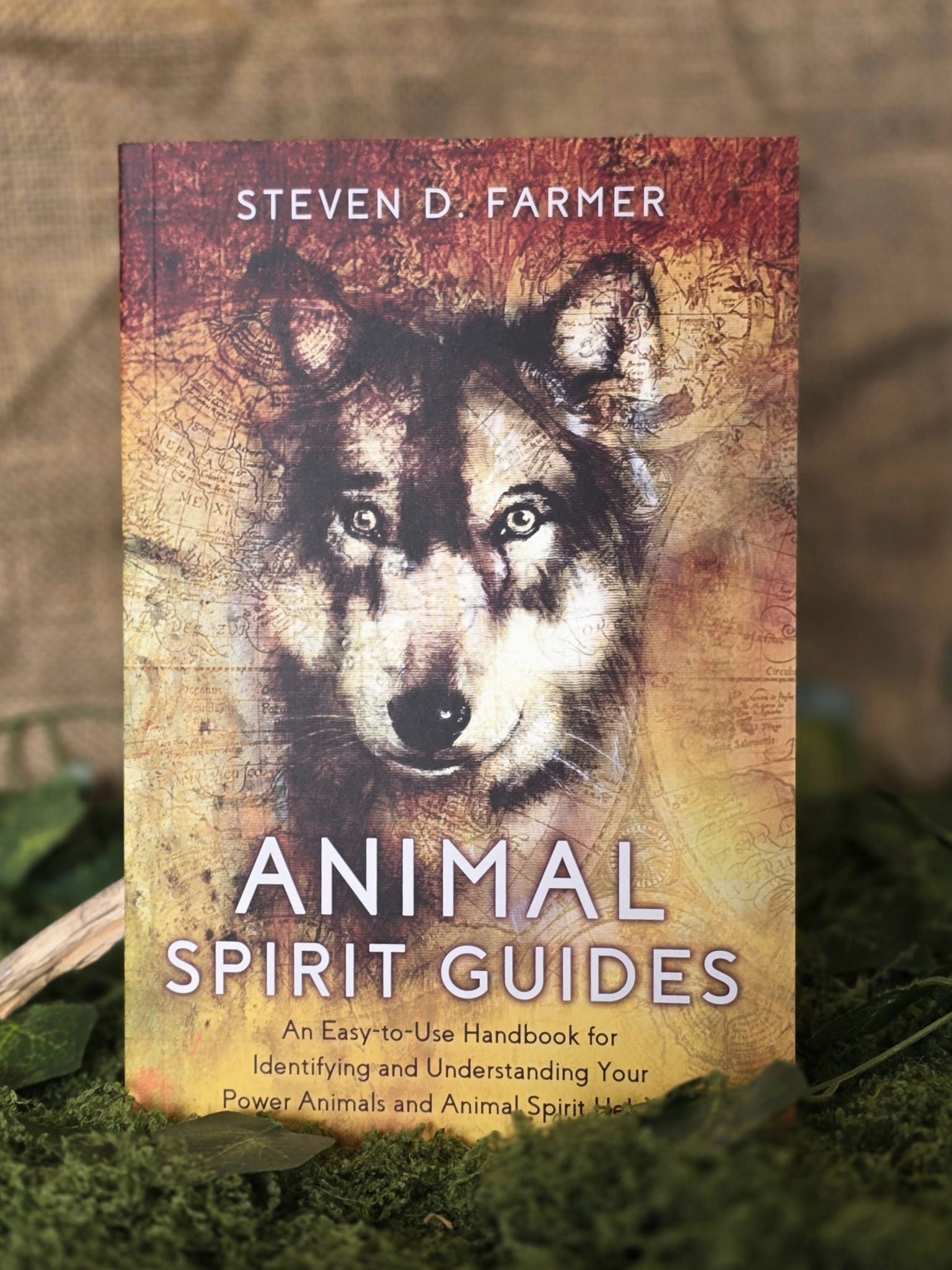 Animal Spirit Guides - &nbsp;An Easy-to-Use Handbook for Identifying and Understanding Your Power Animals and Animal Spirit Helpers, Steven Farmes. Book in English. Inked Mystiqs store. 