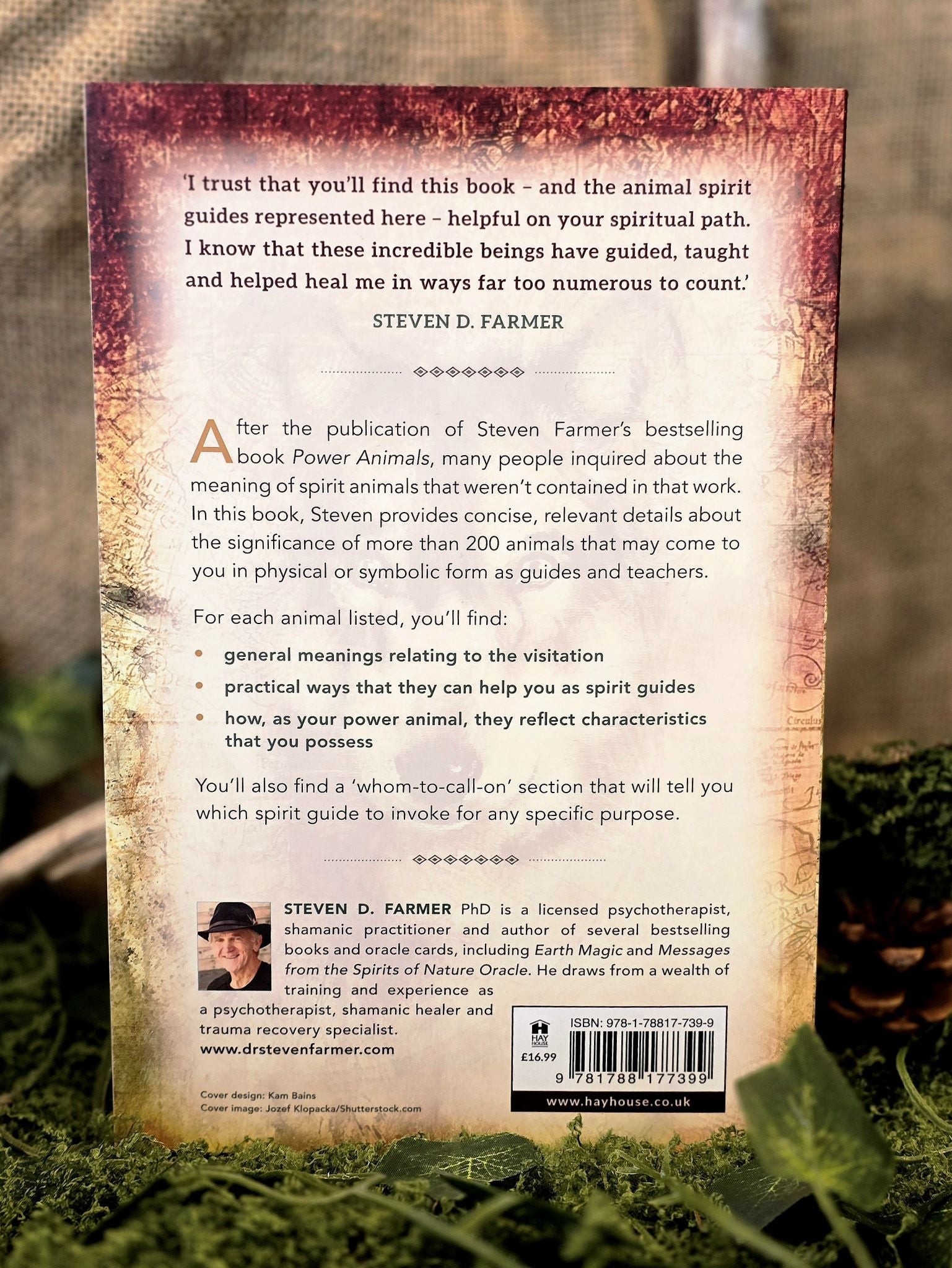 Animal Spirit Guides - Inked Mystiqs