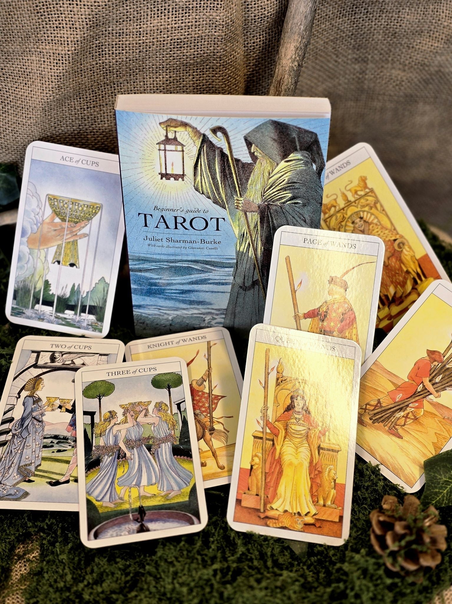 Beginner's Guide to Tarot - tarotkortit & kirja - Inked Mystiqs