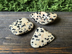 Dalmatian Jaspis - Inked Mystiqs