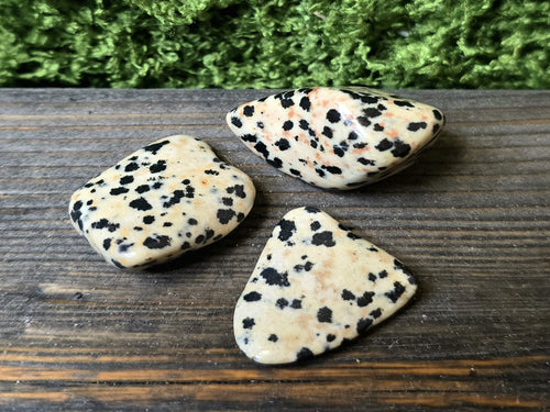Dalmatian Jaspis - Inked Mystiqs