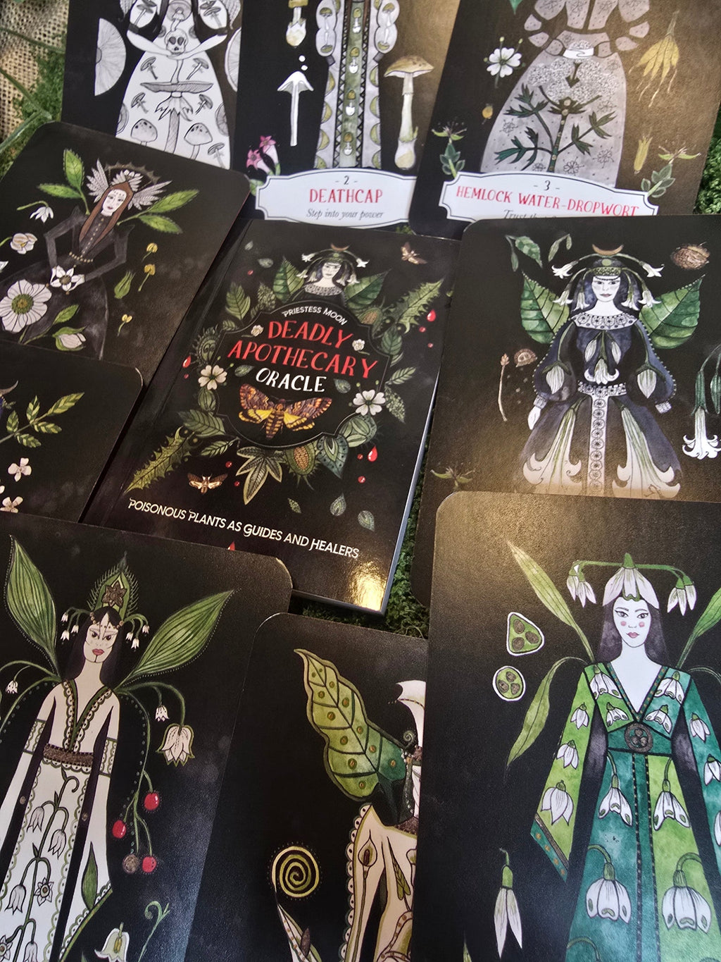 Deadly Apothecary Oracle - oraakkelikortit - Inked Mystiqs
