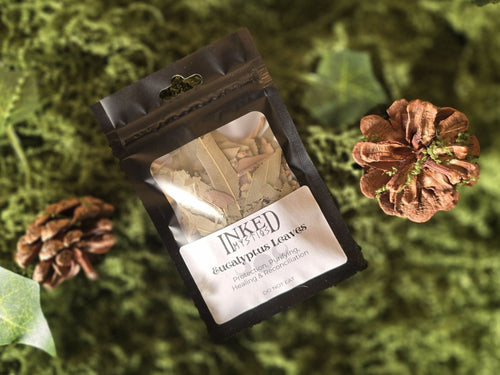 Kuivattu eucalyptuksen lehti 10g pussissa.