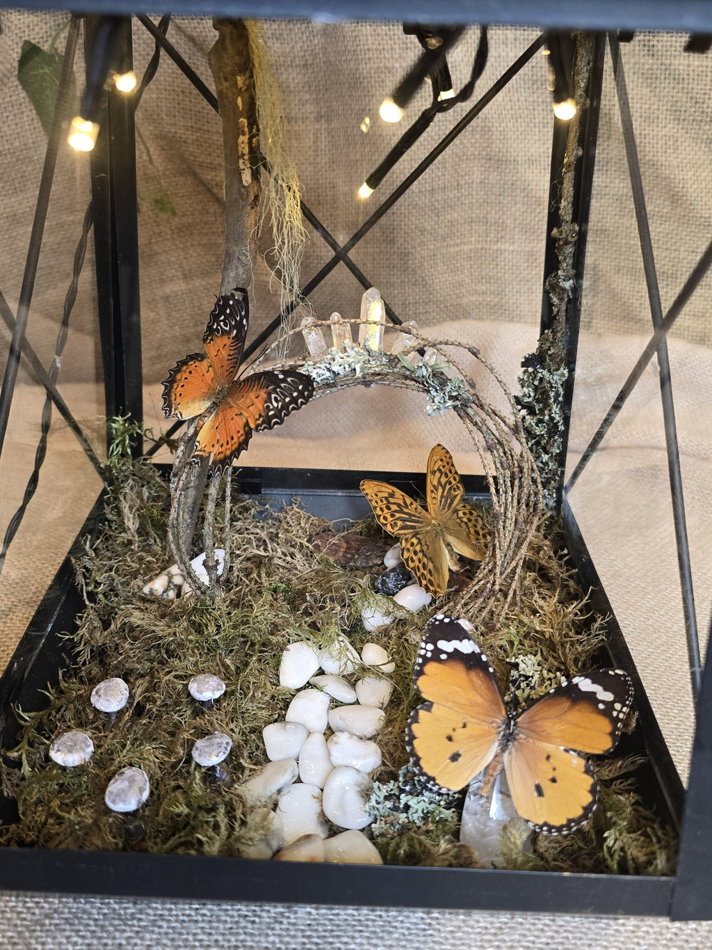 Asetelma, joka on tehty mustan lyhdyn sisälle, asetelmassa metsämaisemaa sammalta, puuta, kvartsia, howliittia, perhosia. Patteri led-valot.