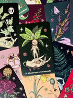 Herbarium Oracle Cards - oraakkelikortit - Inked Mystiqs
