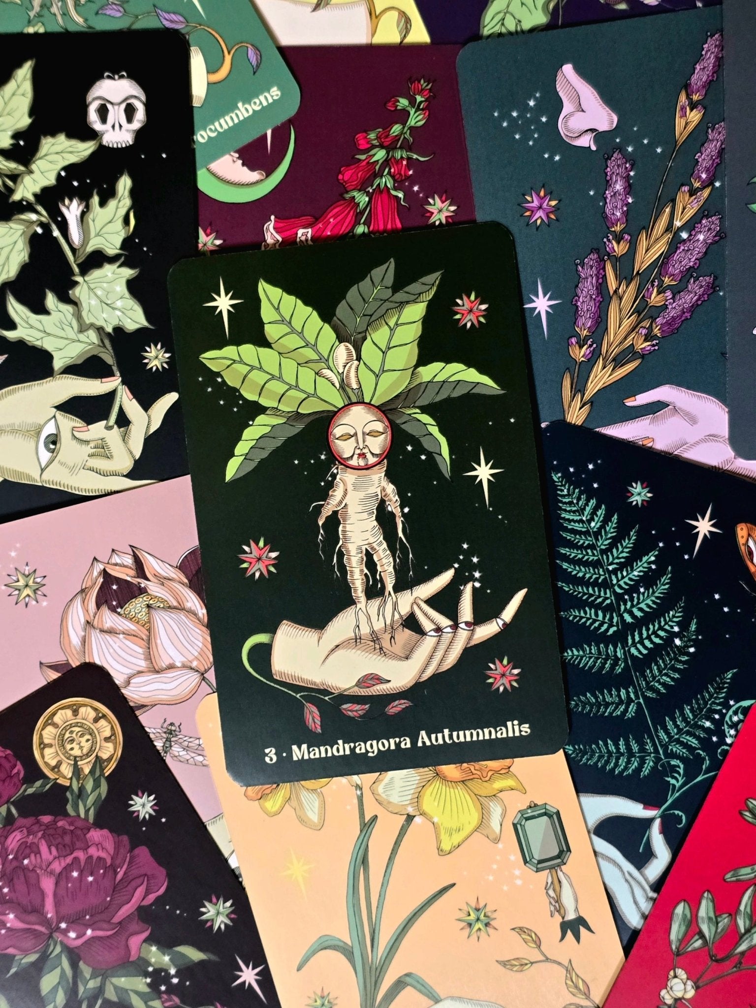 Herbarium Oracle Cards - oraakkelikortit - Inked Mystiqs