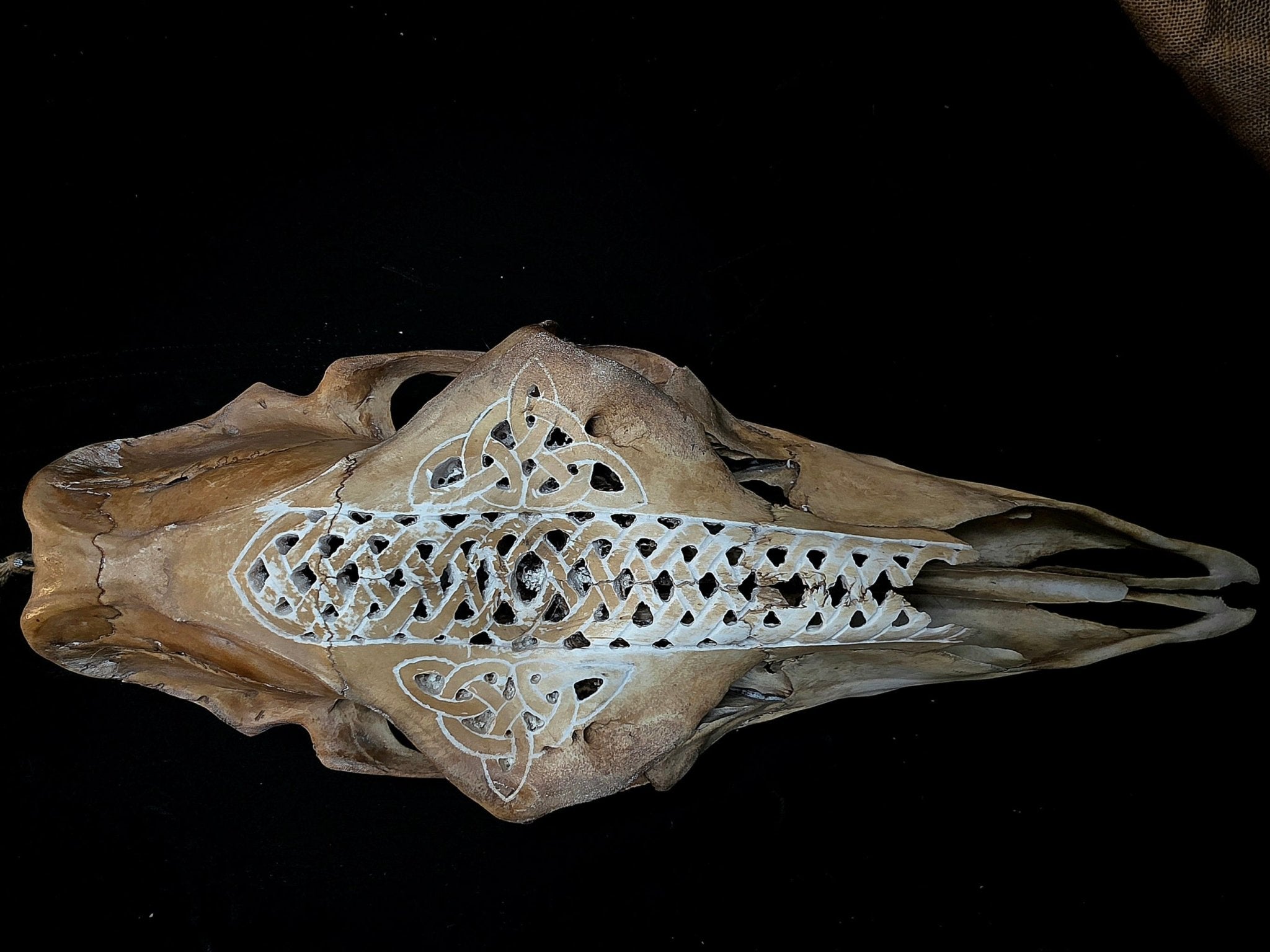 Kaiverrettu hirven kallo - Inked Mystiqs