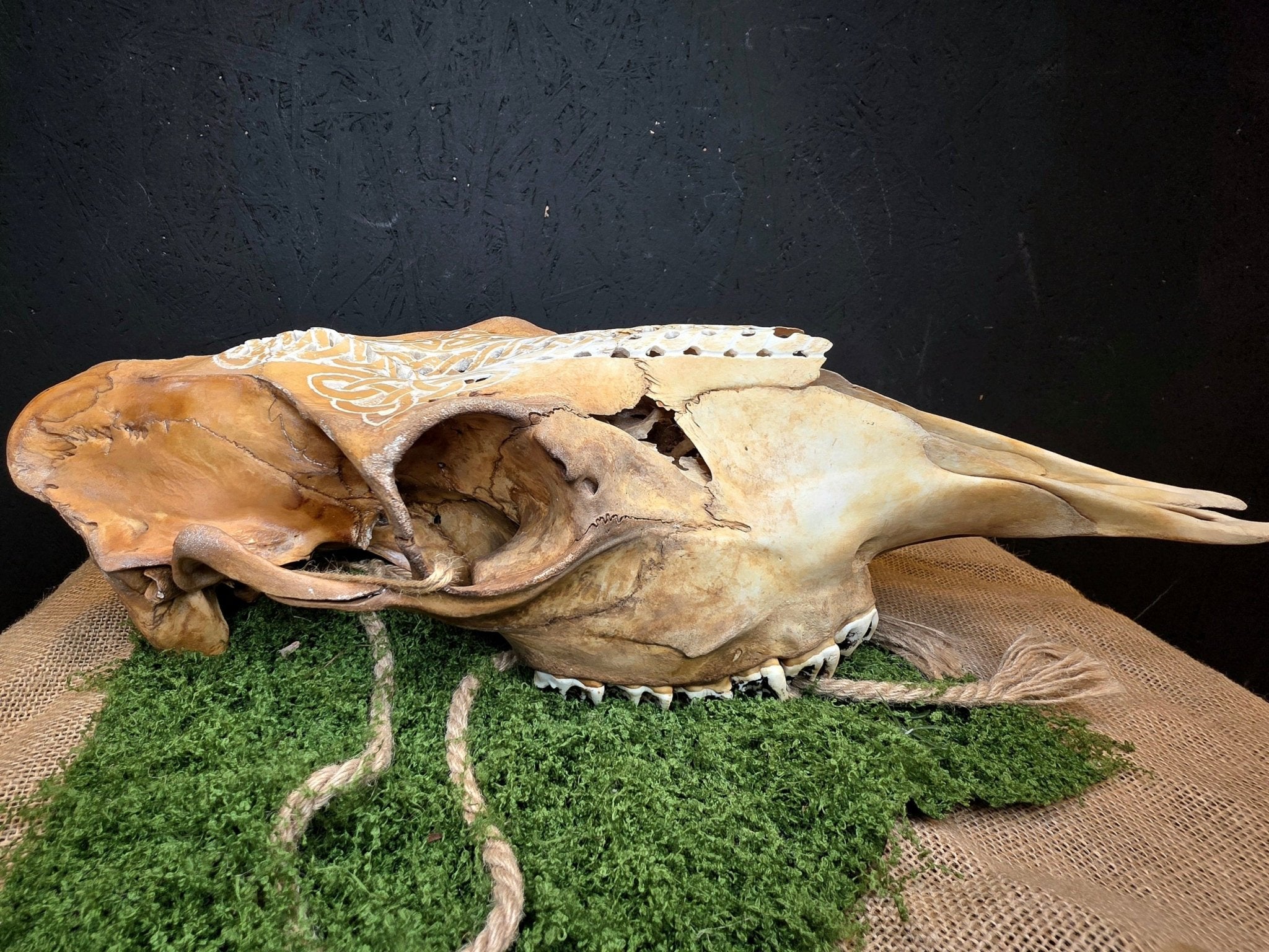 Kaiverrettu hirven kallo - Inked Mystiqs