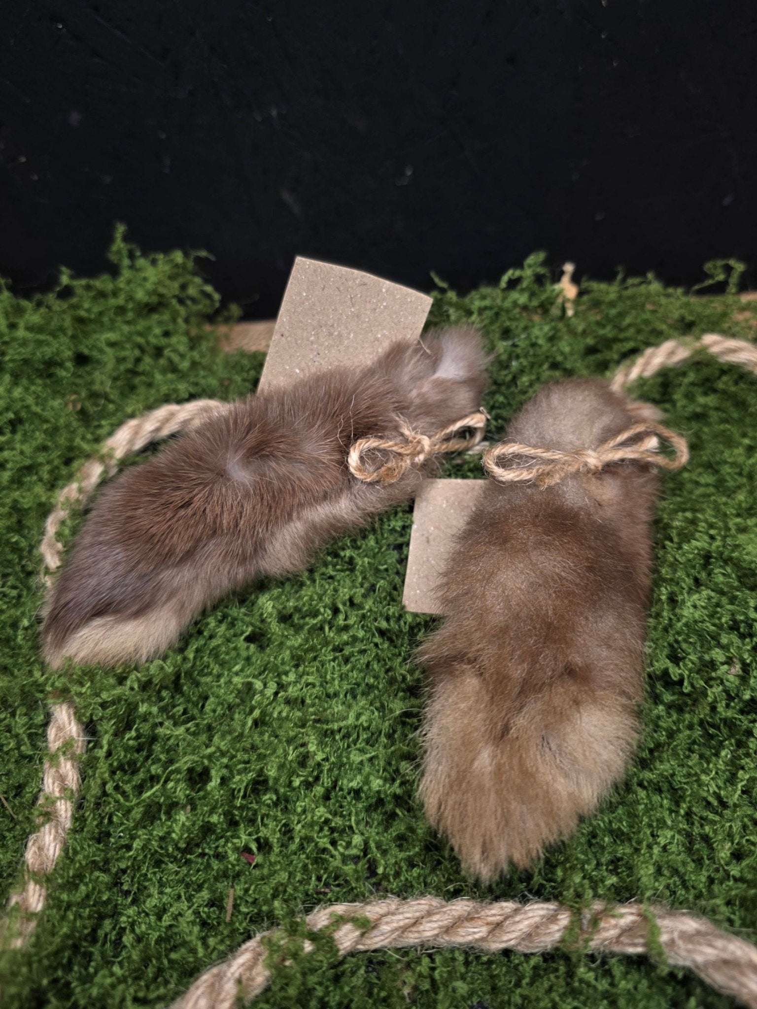 Aito kaninkäpälä onnea tuomaan.