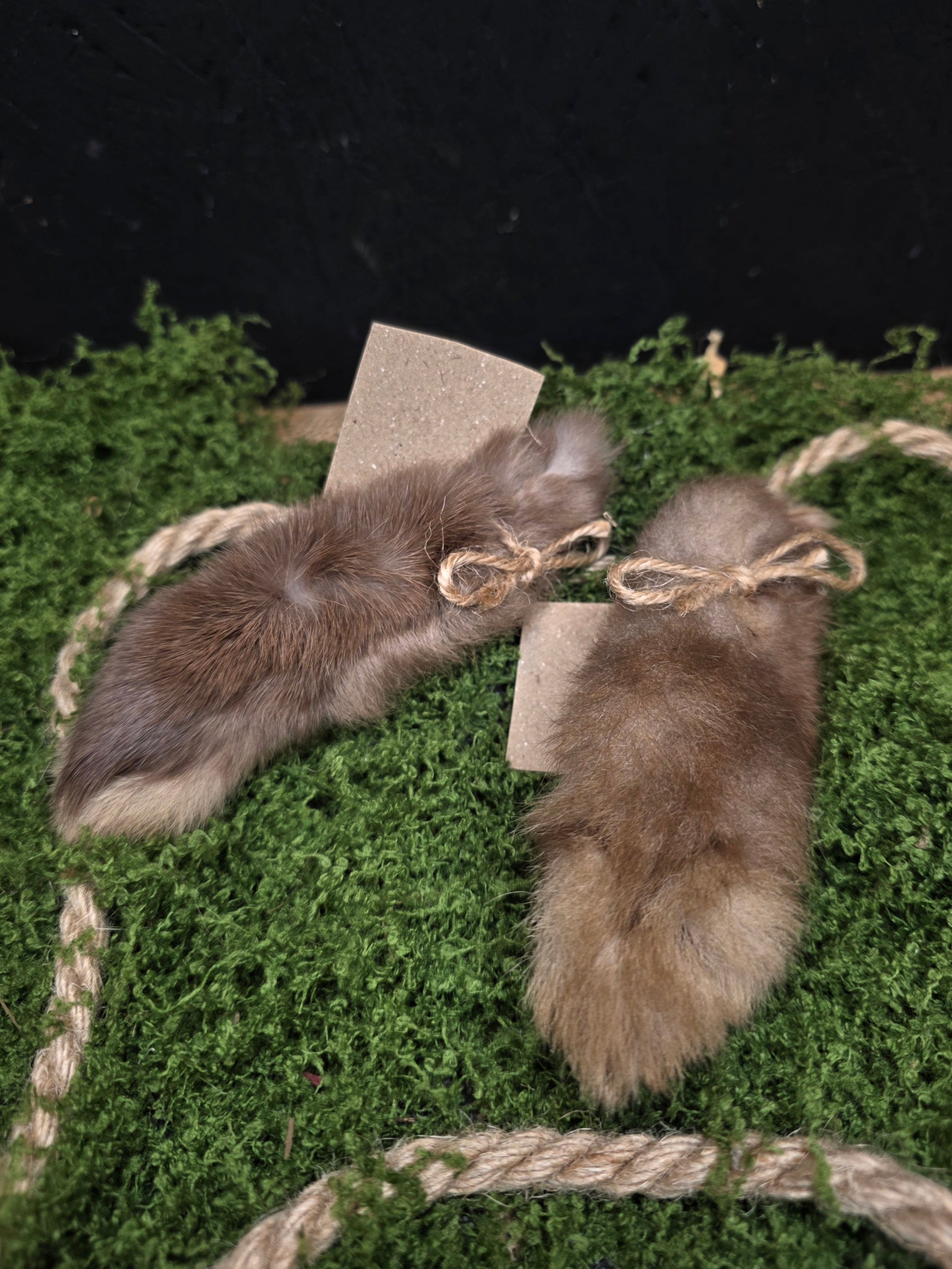 Aito kaninkäpälä onnea tuomaan.