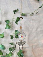 Perhonen aiheinen aurinkosieppari. 