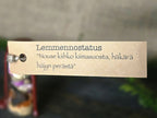 Loitsupullo lemmennostatukseen.